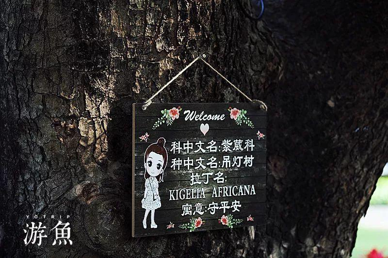 冰球突破游戏网站